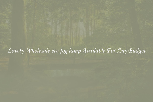 Lovely Wholesale ece fog lamp Available For Any Budget