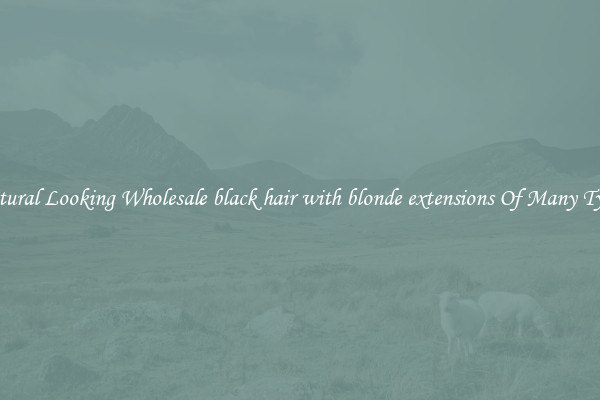 Natural Looking Wholesale black hair with blonde extensions Of Many Types