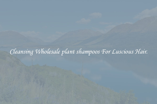 Cleansing Wholesale plant shampoos For Luscious Hair.