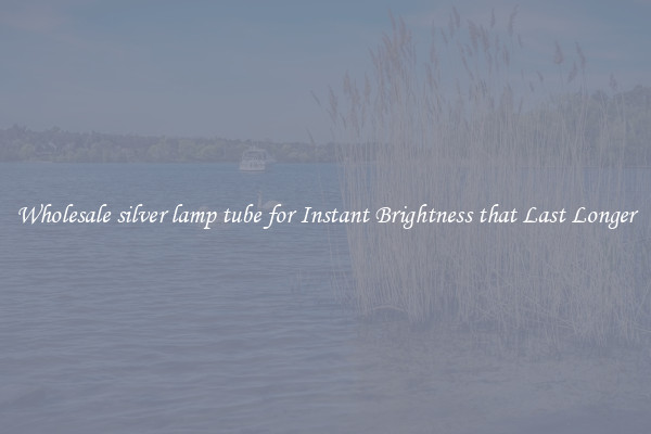 Wholesale silver lamp tube for Instant Brightness that Last Longer