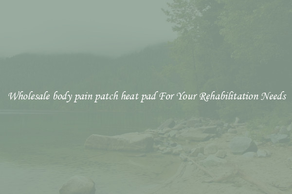 Wholesale body pain patch heat pad For Your Rehabilitation Needs