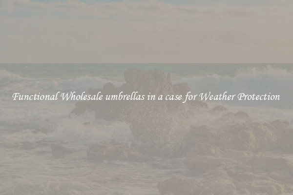 Functional Wholesale umbrellas in a case for Weather Protection 
