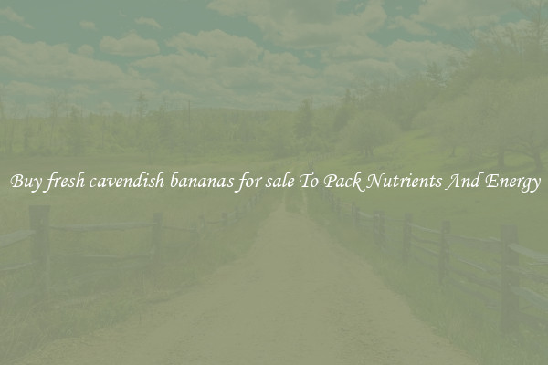 Buy fresh cavendish bananas for sale To Pack Nutrients And Energy