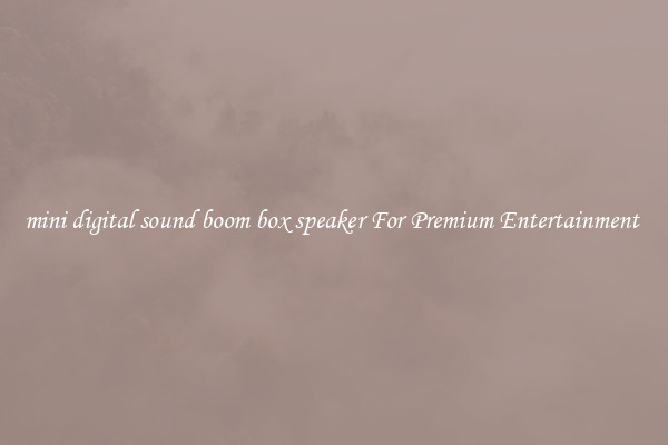 mini digital sound boom box speaker For Premium Entertainment 