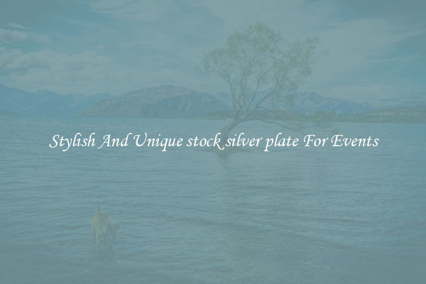 Stylish And Unique stock silver plate For Events
