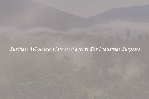 Purchase Wholesale plate steel agents For Industrial Purposes