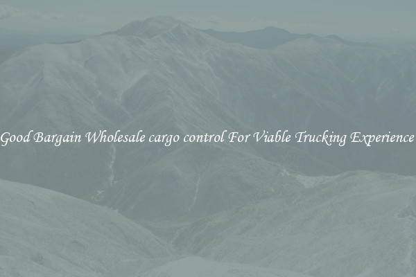 Good Bargain Wholesale cargo control For Viable Trucking Experience 