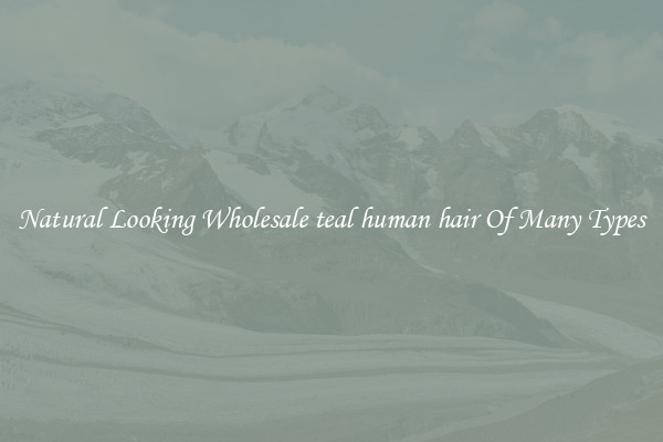 Natural Looking Wholesale teal human hair Of Many Types