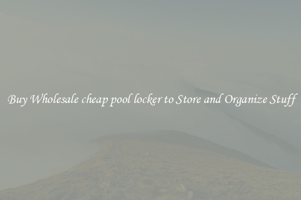 Buy Wholesale cheap pool locker to Store and Organize Stuff