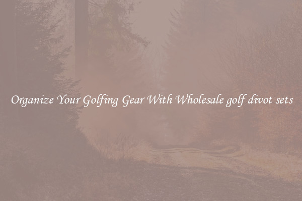 Organize Your Golfing Gear With Wholesale golf divot sets