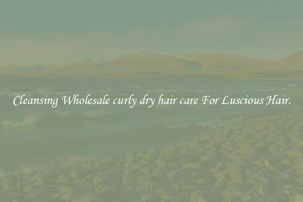 Cleansing Wholesale curly dry hair care For Luscious Hair.