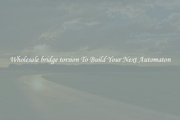 Wholesale bridge torsion To Build Your Next Automaton