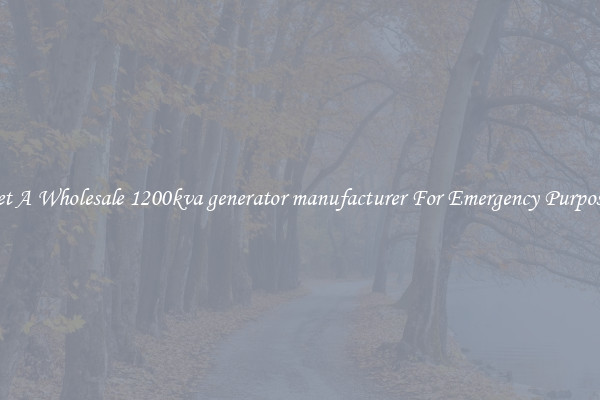Get A Wholesale 1200kva generator manufacturer For Emergency Purposes