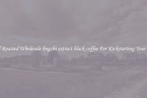 Find Roasted Wholesale lingzhi extract black coffee For Kickstarting Your Day 